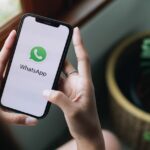 whatsapp business numero fisso
