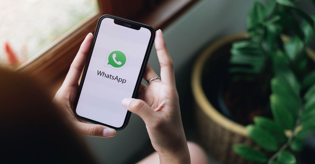 whatsapp business numero fisso